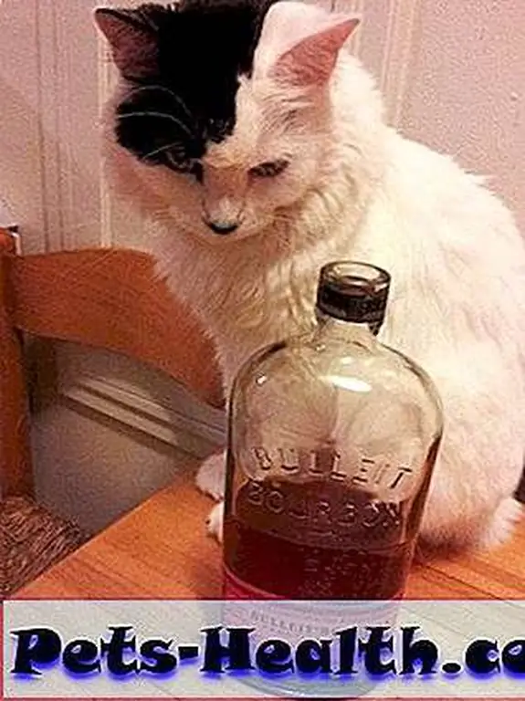 Agnes gives all behavior-changing substances a wary look now. Agnes gives all behavior-changing substances a wary look now.