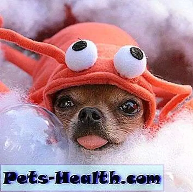 Image Image