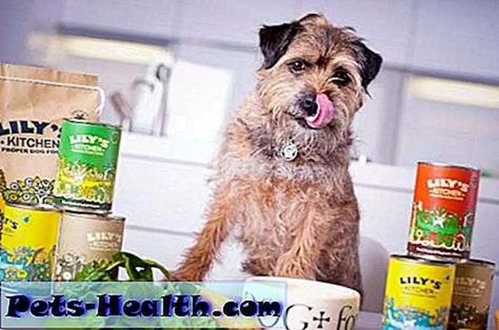 Lily in the kitchen with some of the foods she inspired. Lily in the kitchen with some of the foods she inspired.