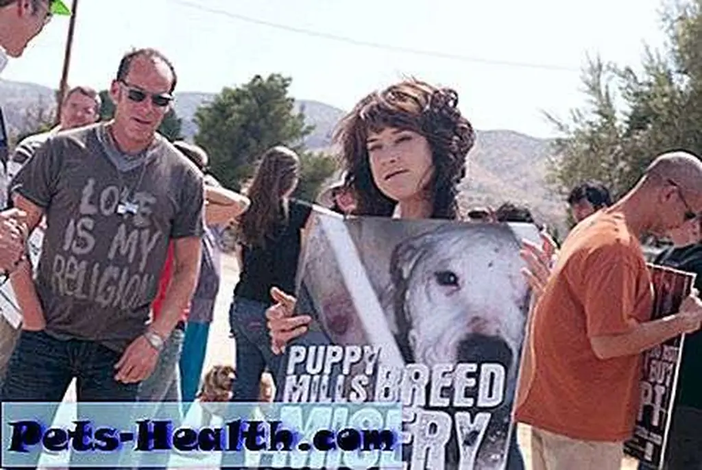 Volunteers from Last Chance for Animals protest puppy mills in 2011. (Photo set here.) Volunteers from Last Chance for Animals protest puppy mills in 2011. (Photo set here.)