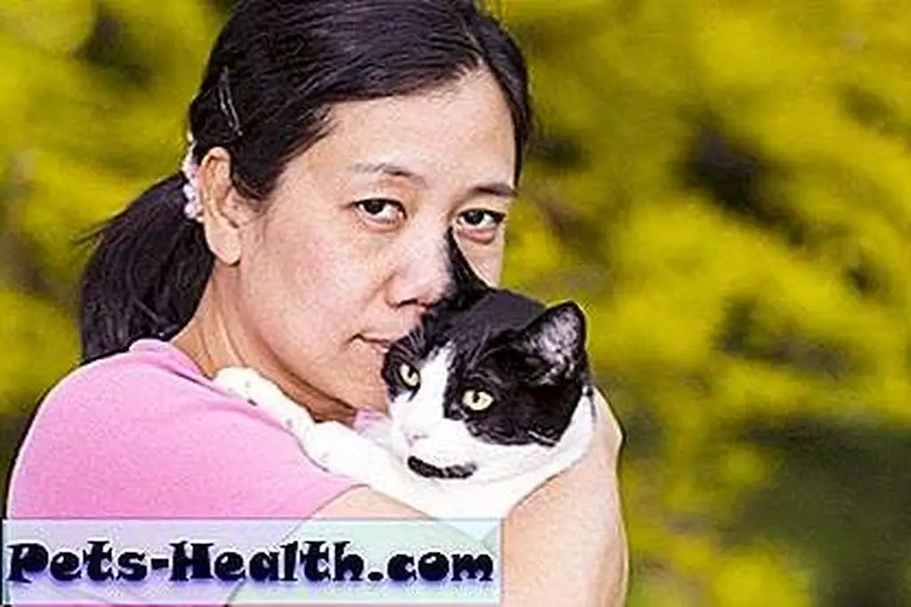 When searching for a lost pet, persistence pays off. Woman holding a black and white cat by Shutterstock.com When searching for a lost pet, persistence pays off. Woman holding a black and white cat by Shutterstock.com