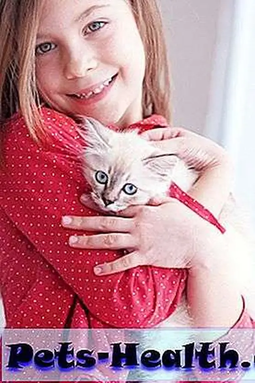 Pet FBI helps reunite lost pets with their families. Portrait of adorable child with small kitten by Shutterstock.com Pet FBI helps reunite lost pets with their families. Portrait of adorable child with small kitten by Shutterstock.com