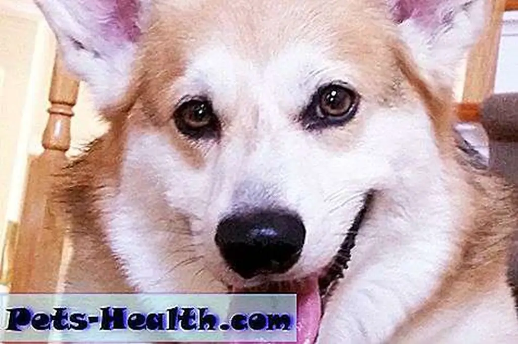 Image Image