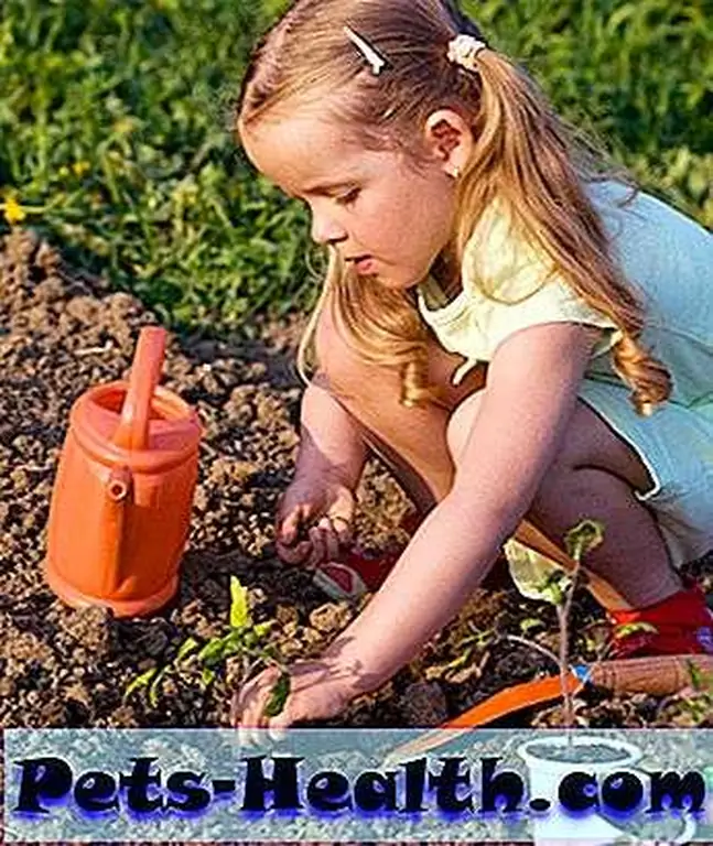 How to avoid toxoplasmosis, step 3: Teach your kids to wash their hands after they come in from playing or working in the garden! Girl planting tomato seedlings by Shutterstock How to avoid toxoplasmosis, step 3: Teach your kids to wash their hands after they come in from playing or working in the garden! Girl planting tomato seedlings by Shutterstock