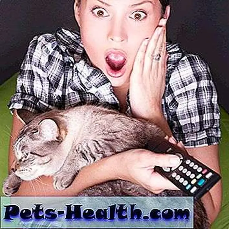 Terrified woman and cat by Shutterstock Terrified woman and cat by Shutterstock