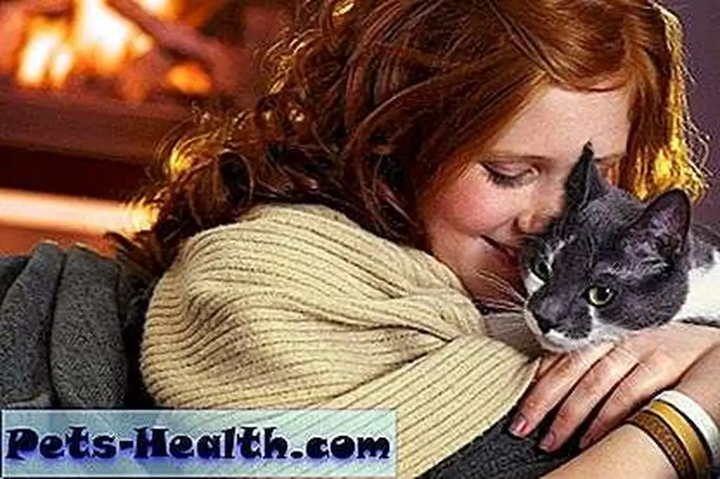 Happy teen girl caressing cat a home; affectionate moment by Shutterstock.com Happy teen girl caressing cat a home; affectionate moment by Shutterstock.com