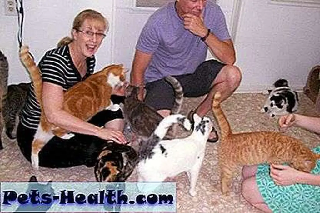 Visitors at Blind Cat Rescue. Visitors at Blind Cat Rescue.