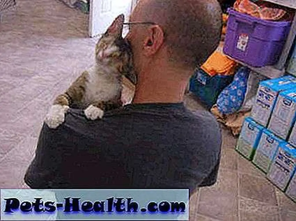 Gallee snuggles with a staffer. Gallee snuggles with a staffer.