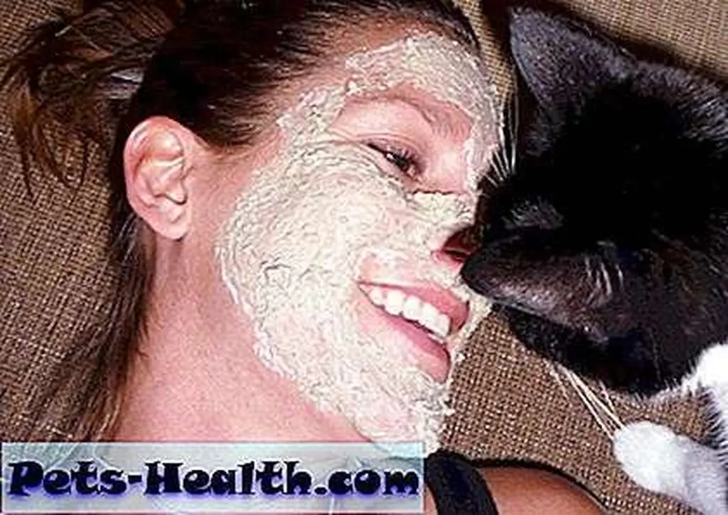 It's helpful to have feline support for this project.