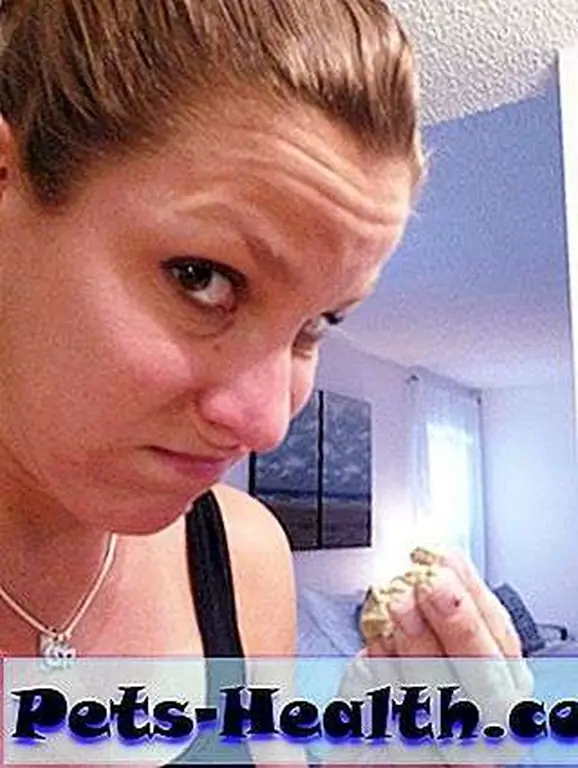 Yeah, we're really doing this.