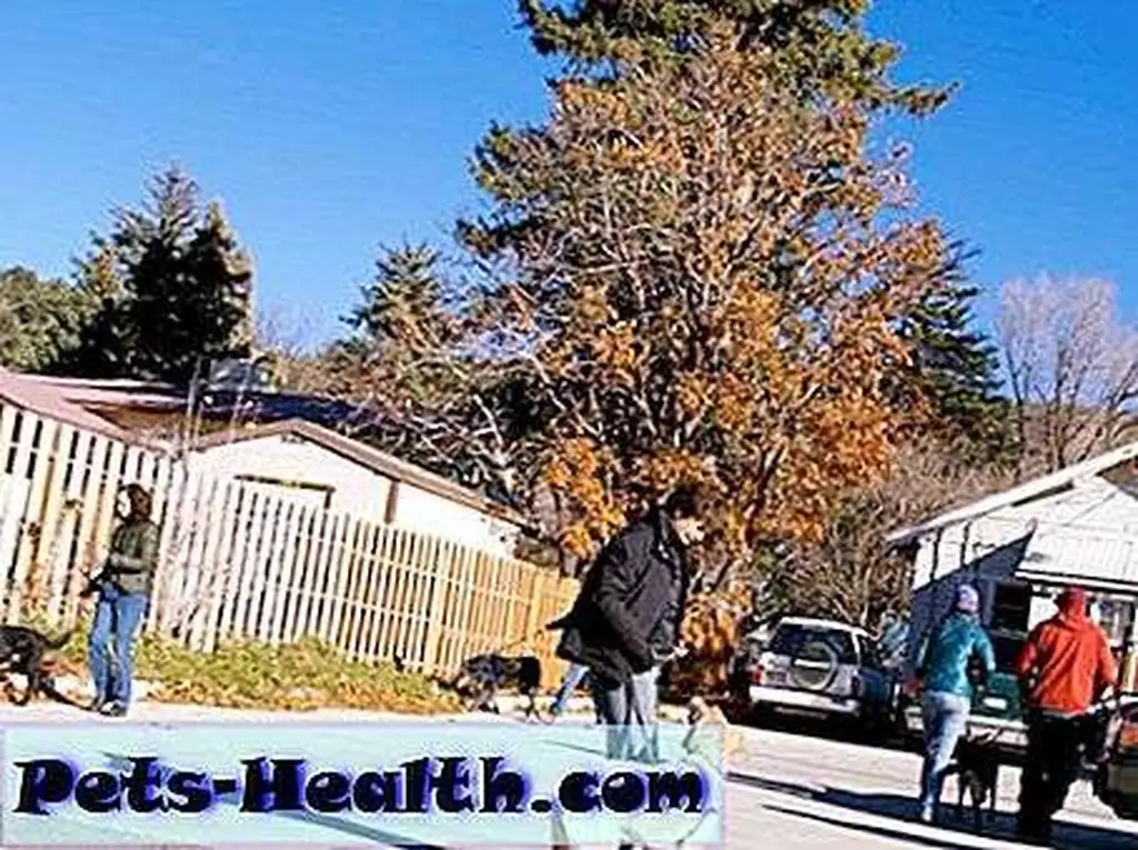 January is Train Your Dog Month -- so did you? January is Train Your Dog Month -- so did you?