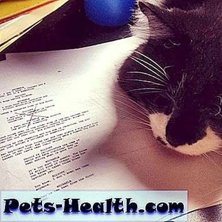 All images via GoFundMe.