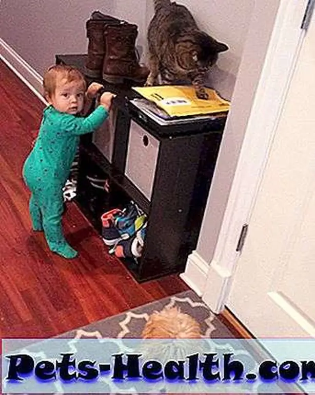As if a dog wasn't enough, you have to let a baby harass me, too? As if a dog wasn't enough, you have to let a baby harass me, too?