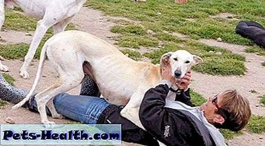 Image Image