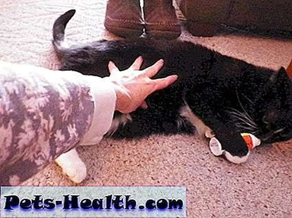 You get gravy and I get belly time. Sounds fair to me. You get gravy and I get belly time. Sounds fair to me.