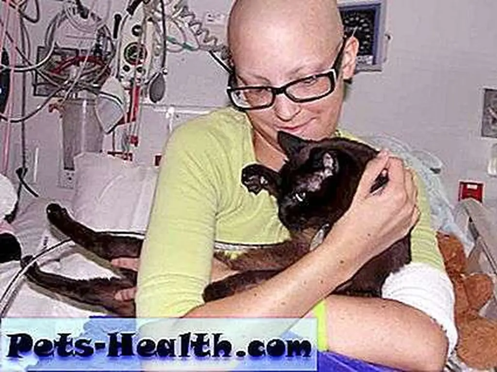 Bullet comforts a young patient. Bullet comforts a young patient.