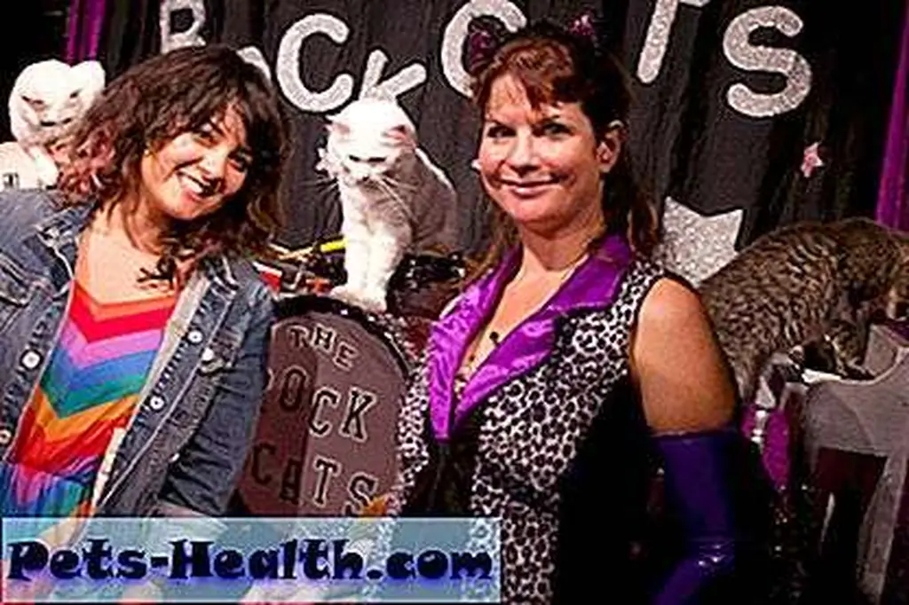 Catster author Liz Acosta (left) visits with Samantha Martin and her Amazing Rock-Cats. Catster author Liz Acosta (left) visits with Samantha Martin and her Amazing Rock-Cats.