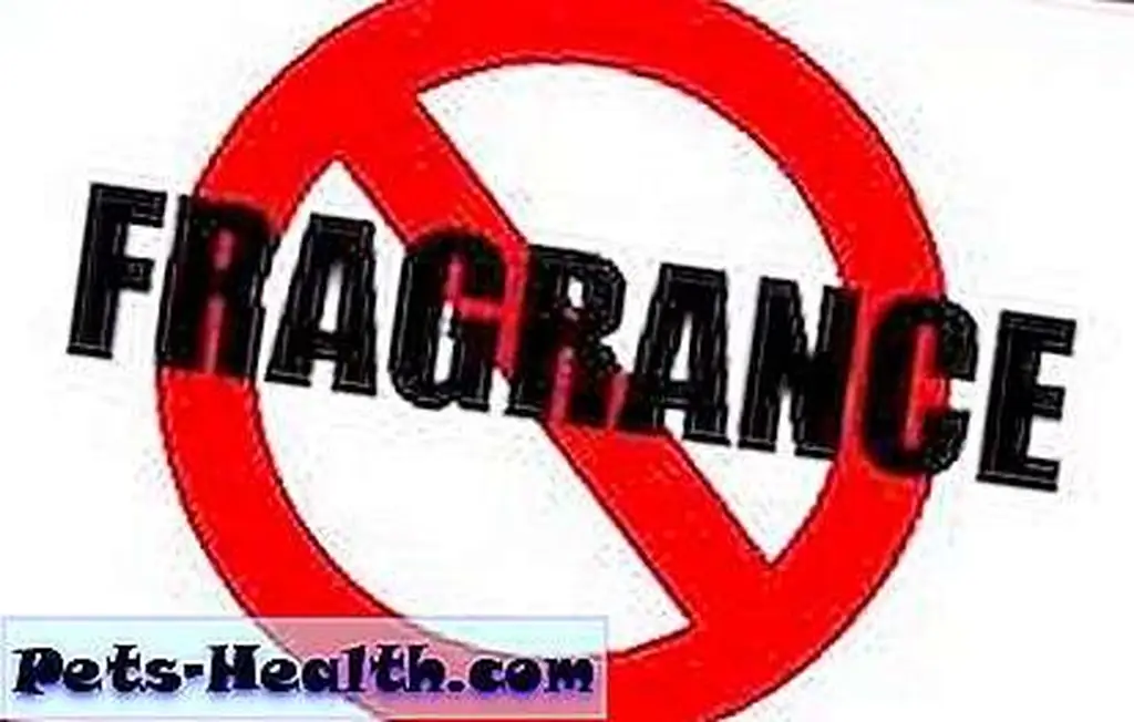 FragranceFree FragranceFree