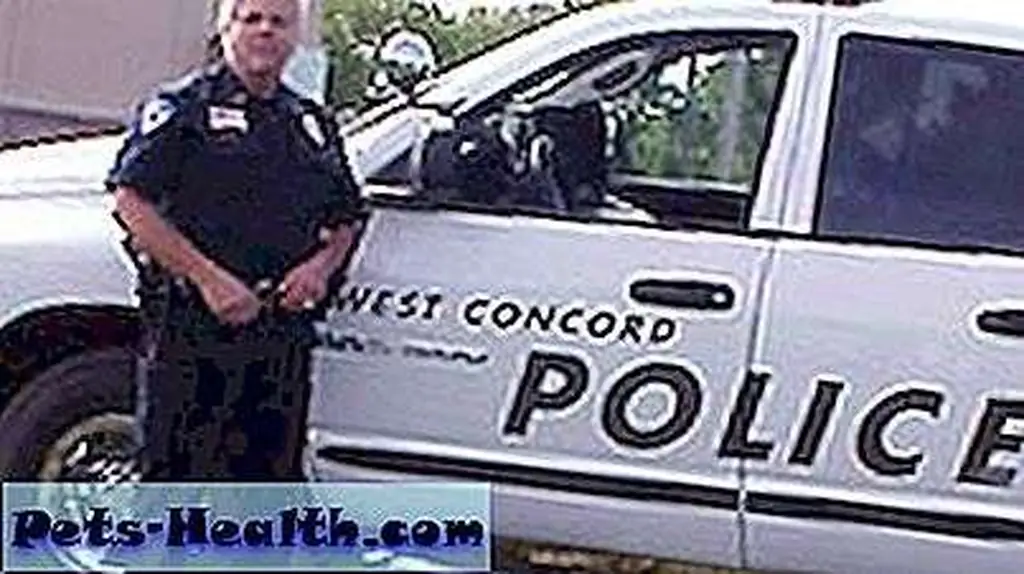 Robert Utech, Convicted Cat Killer Robert Utech, Convicted Cat Killer