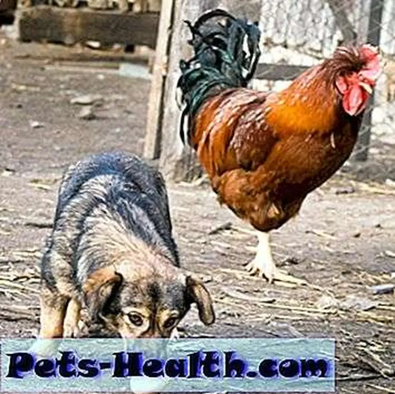 Image Image