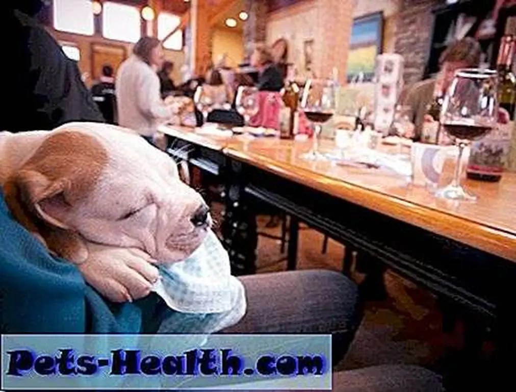 A young guest has a nap. Photo provided by Barrel Oak Winery. A young guest has a nap. Photo provided by Barrel Oak Winery.