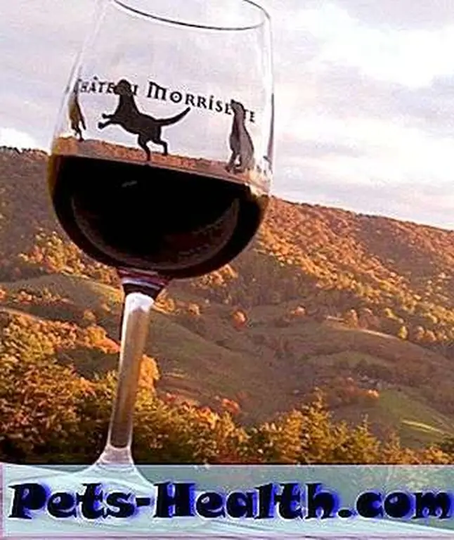 The Welcoming Committee. Photo provided by Barrel Oak Winery. The Welcoming Committee. Photo provided by Barrel Oak Winery.