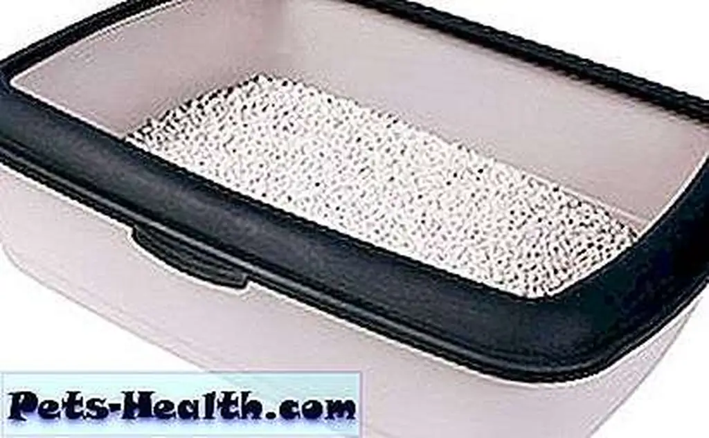Cat litter box by Shutterstock. Cat litter box by Shutterstock.