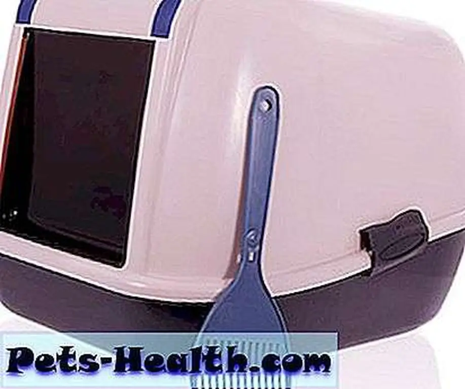 Closed cat litter box with scoop by Shutterstock. Closed cat litter box with scoop by Shutterstock.