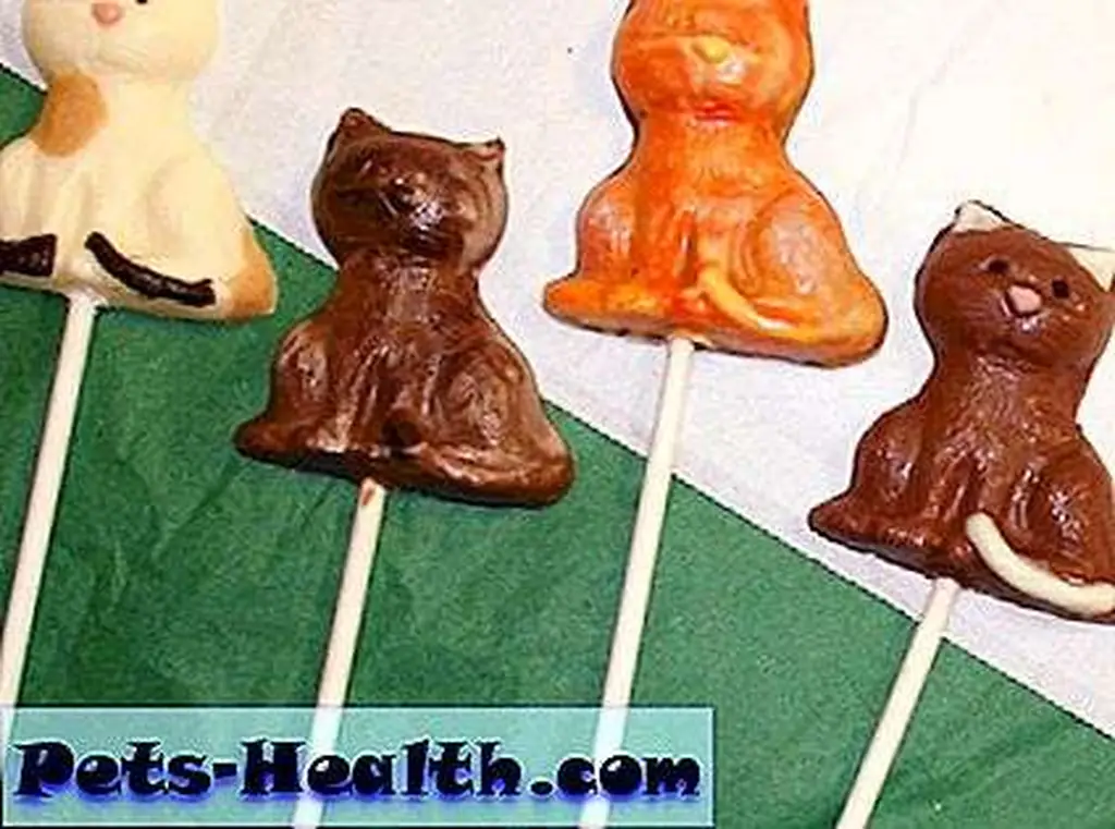 These are for humans, not your kitty.