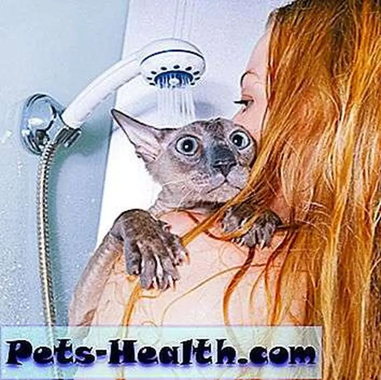 Image Image