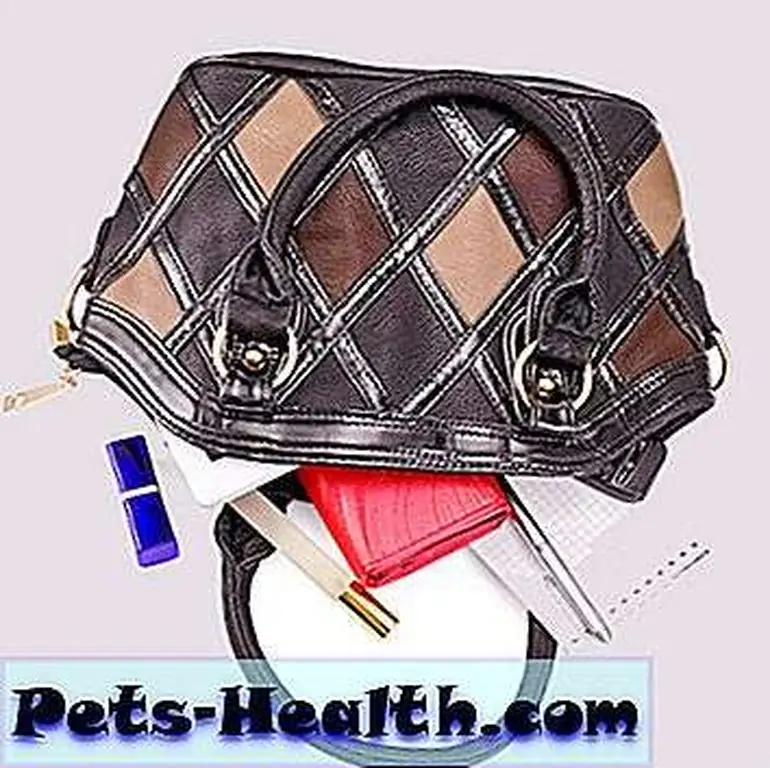 A perfect target for curious kids and cats. 