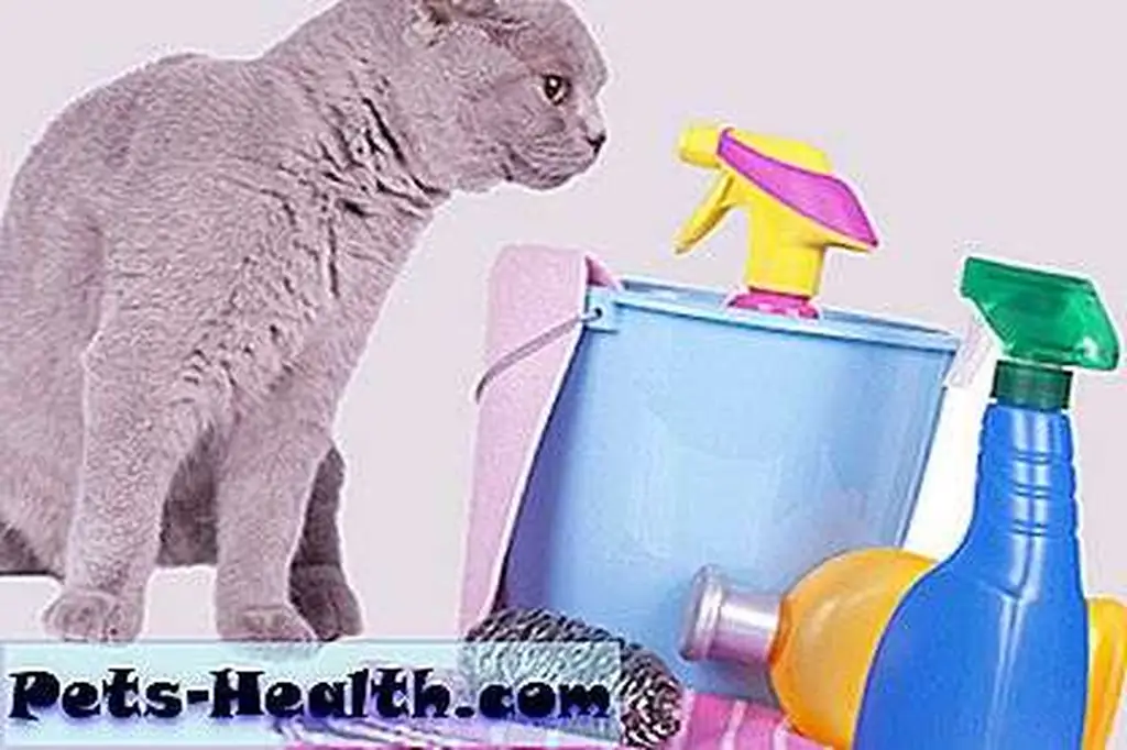 Don't even tempt them! 