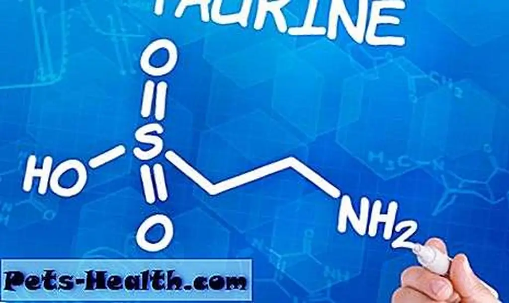 There is more to a complete diet than protein -- taurine by Zerborv via Shutterstock There is more to a complete diet than protein -- taurine by Zerborv via Shutterstock