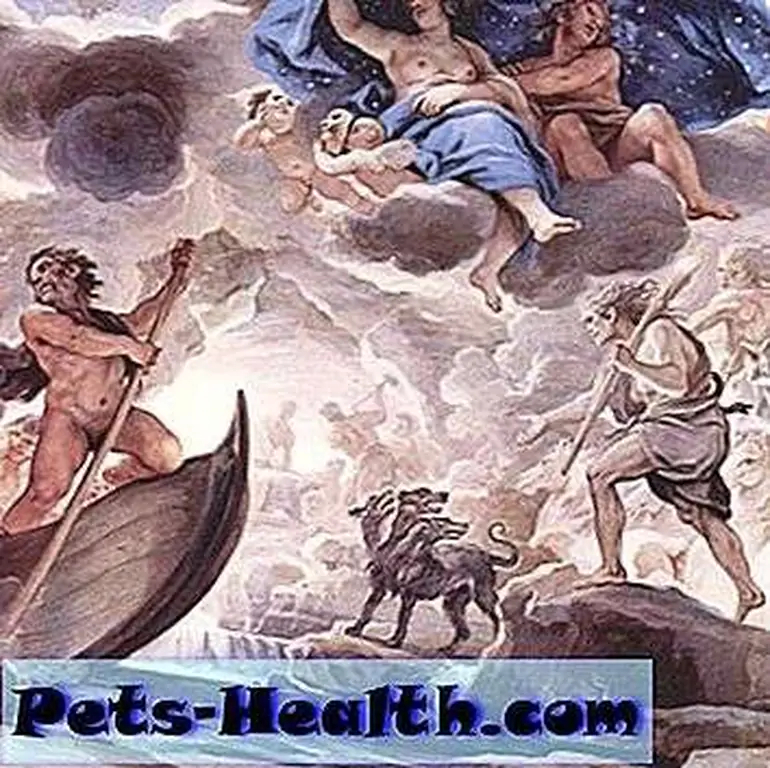 Image Image