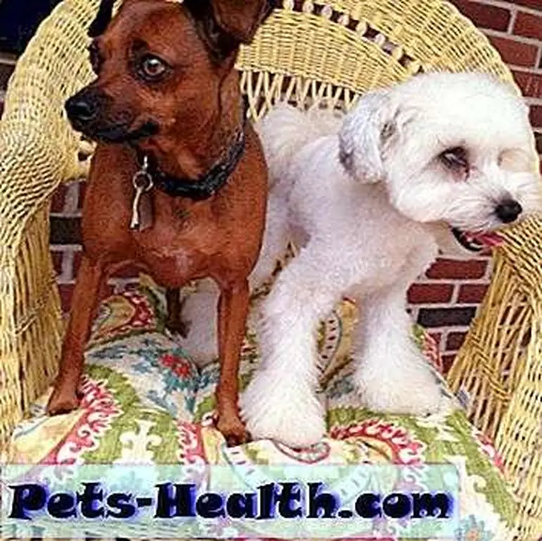 Image Image