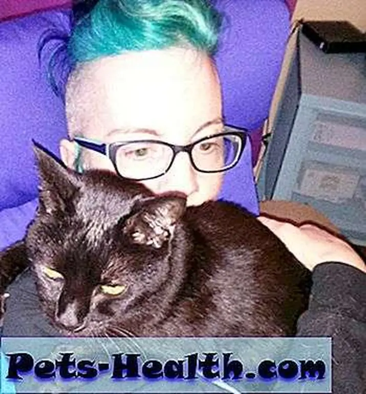 The perfect cure for a long and stressful day: an arm full of Siouxie!