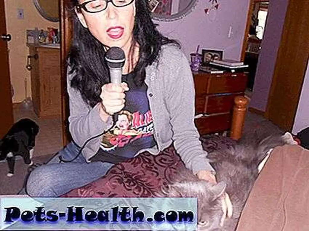 Saffy is the queen of ignoring my vocal love. Saffy is the queen of ignoring my vocal love.