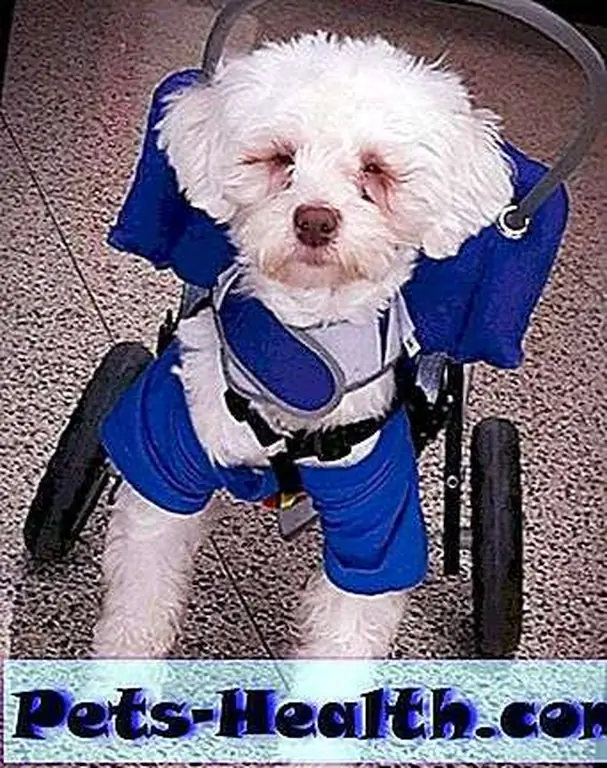 Image Image