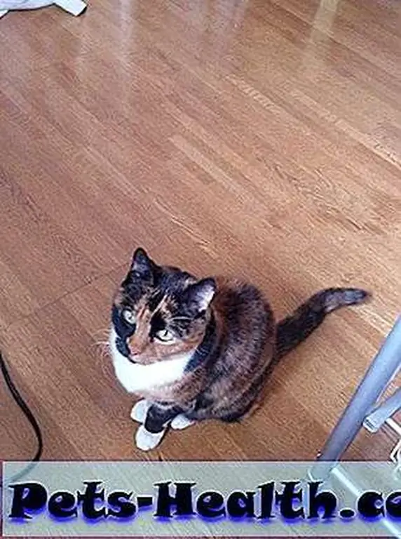 Don't you have a litter box somewhere to clean? Don't you have a litter box somewhere to clean?