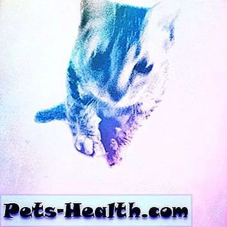 Image Image