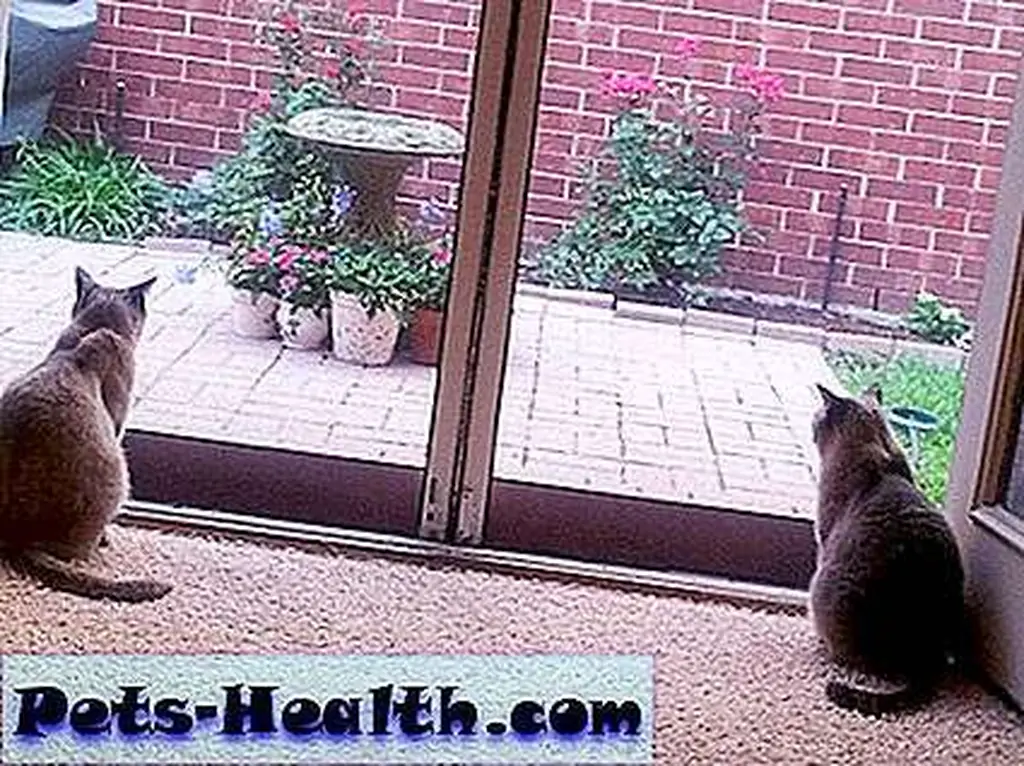 Teddy with his favorite toy.