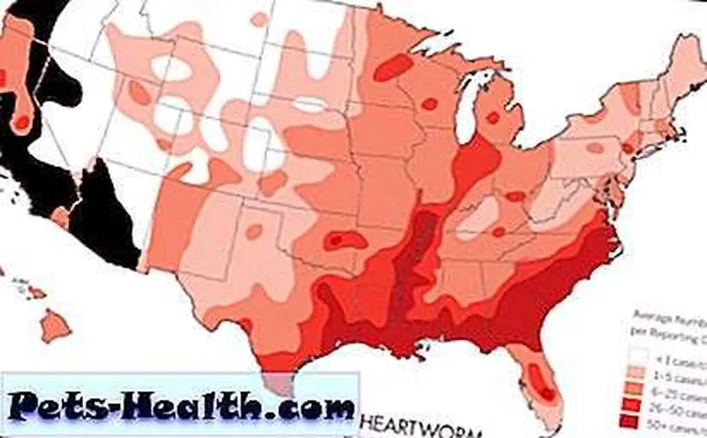 U. S. heartworm incidence map, courtesy of KnowHeartworms.org U. S. heartworm incidence map, courtesy of KnowHeartworms.org