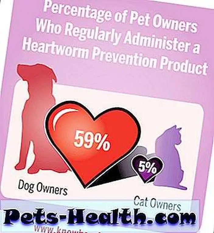 Image courtesy of KnowHeartworms.org Image courtesy of KnowHeartworms.org