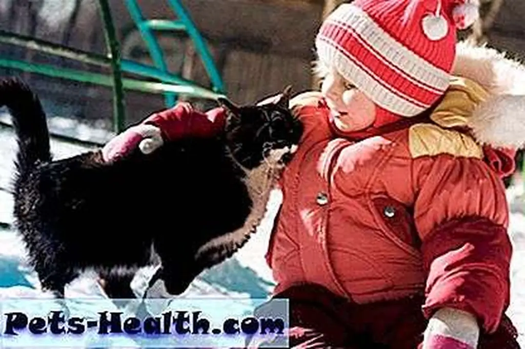 Happy child and happy cat by Shutterstock Happy child and happy cat by Shutterstock