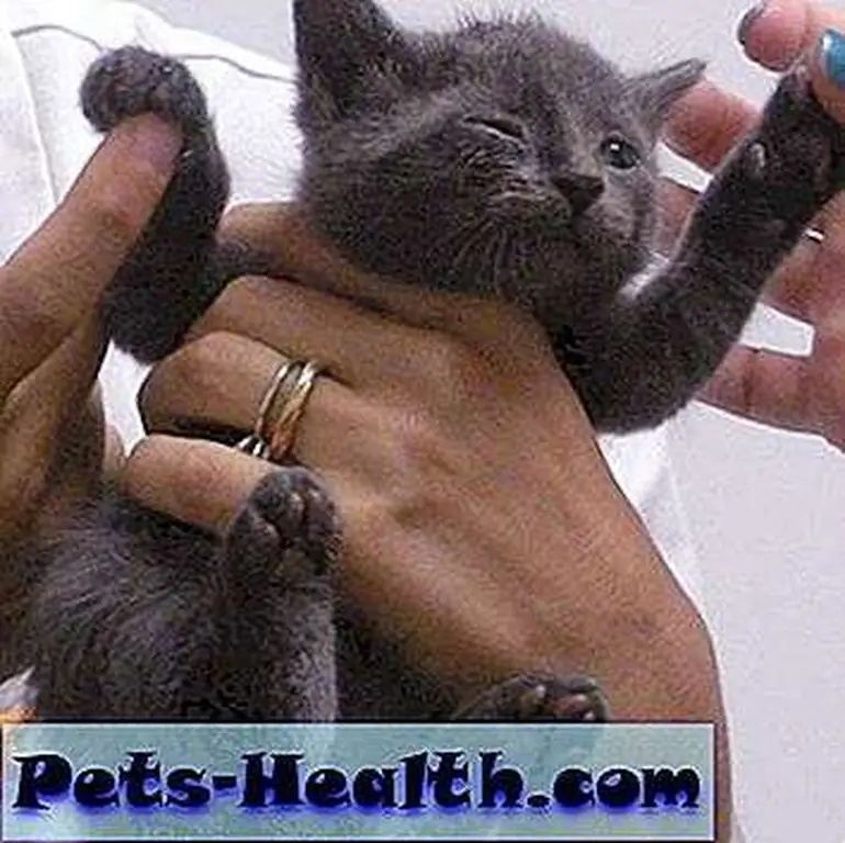 Image Image