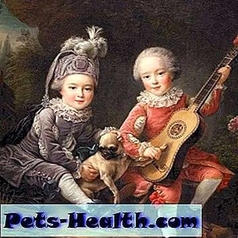 Image Image