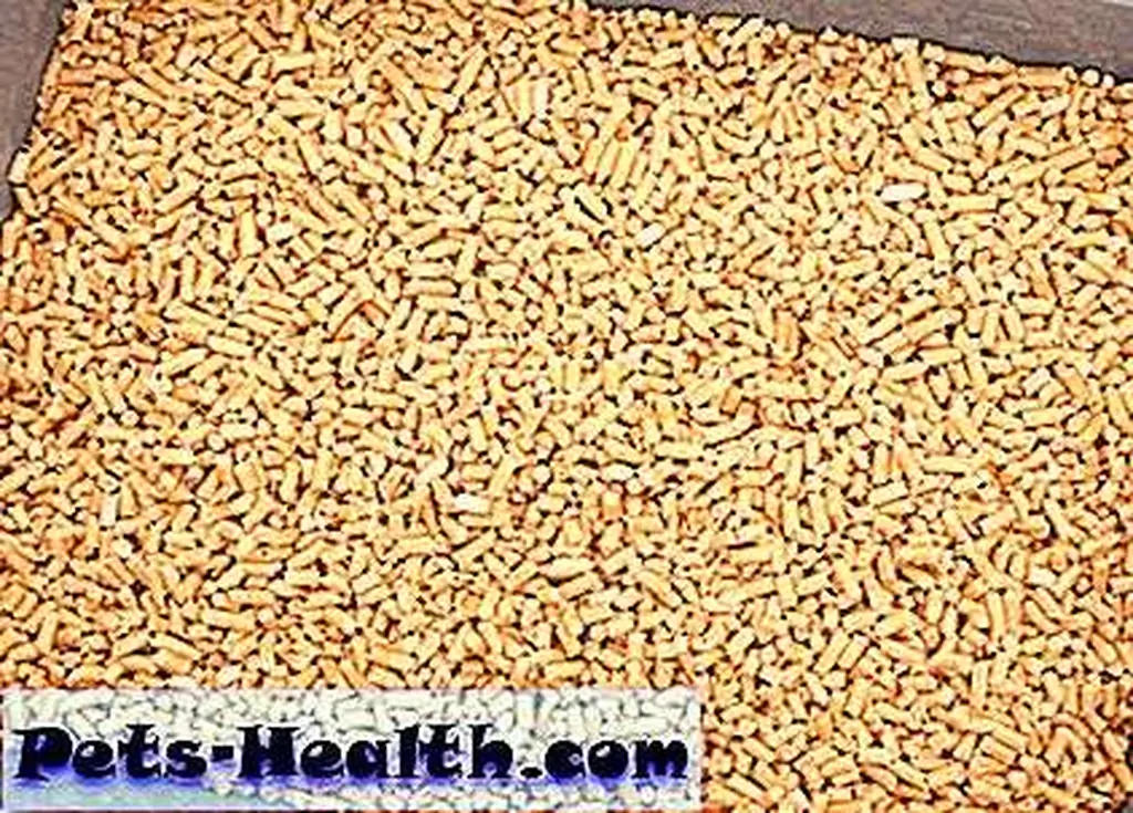 Clean pine pellets by Shutterstock.com. Clean pine pellets by Shutterstock.com.