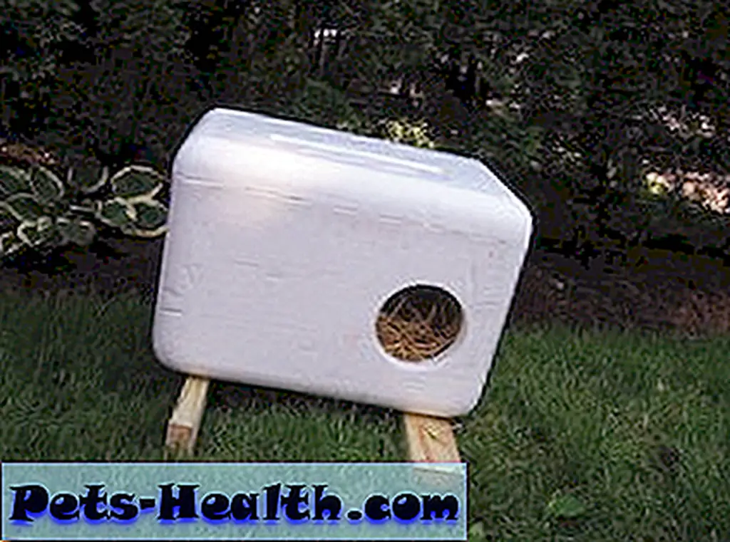 A cat shelter made out of a Styrofoam shipping container. A cat shelter made out of a Styrofoam shipping container.