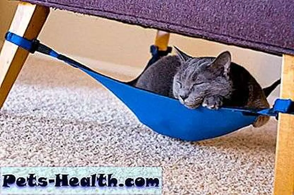 Snug as a cat in a hammock.