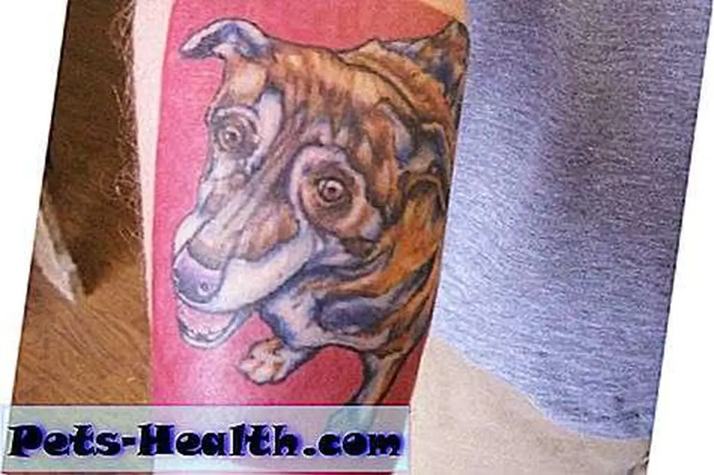 Image Image
